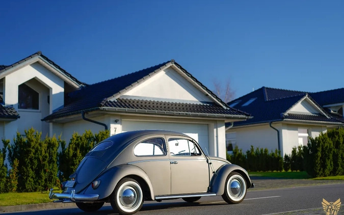 Volkswagen Garbus cena 179000 przebieg: 73845, rok produkcji 1956 z Ostrzeszów małe 742
